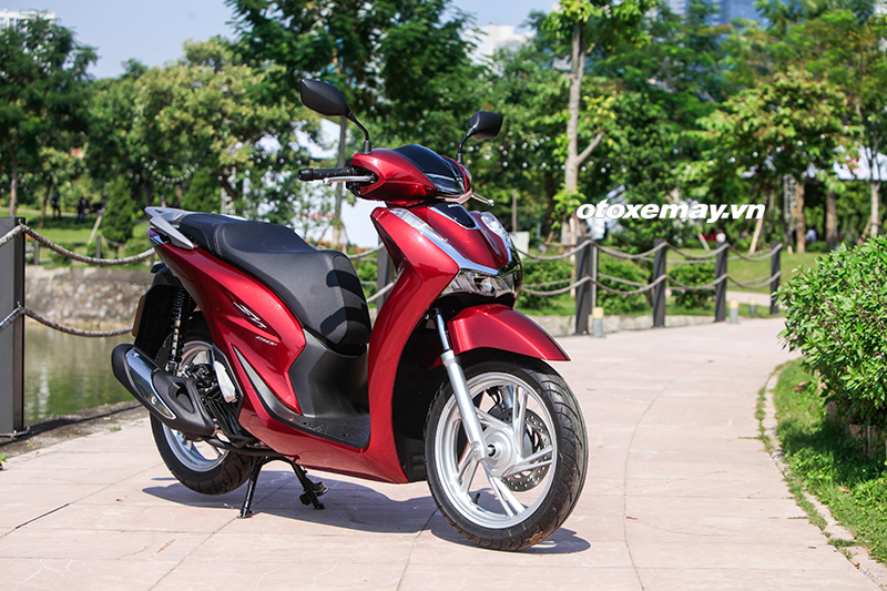 mg_5295 mg 5295