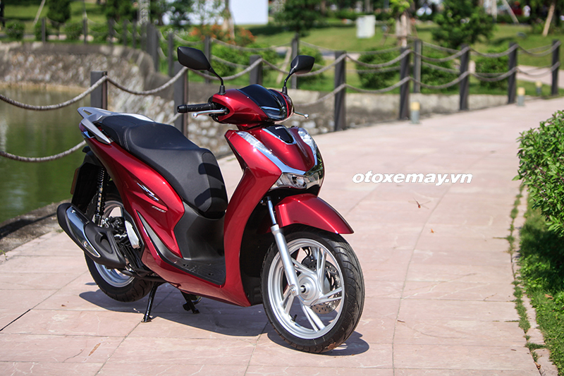 mg_5302 mg 5302