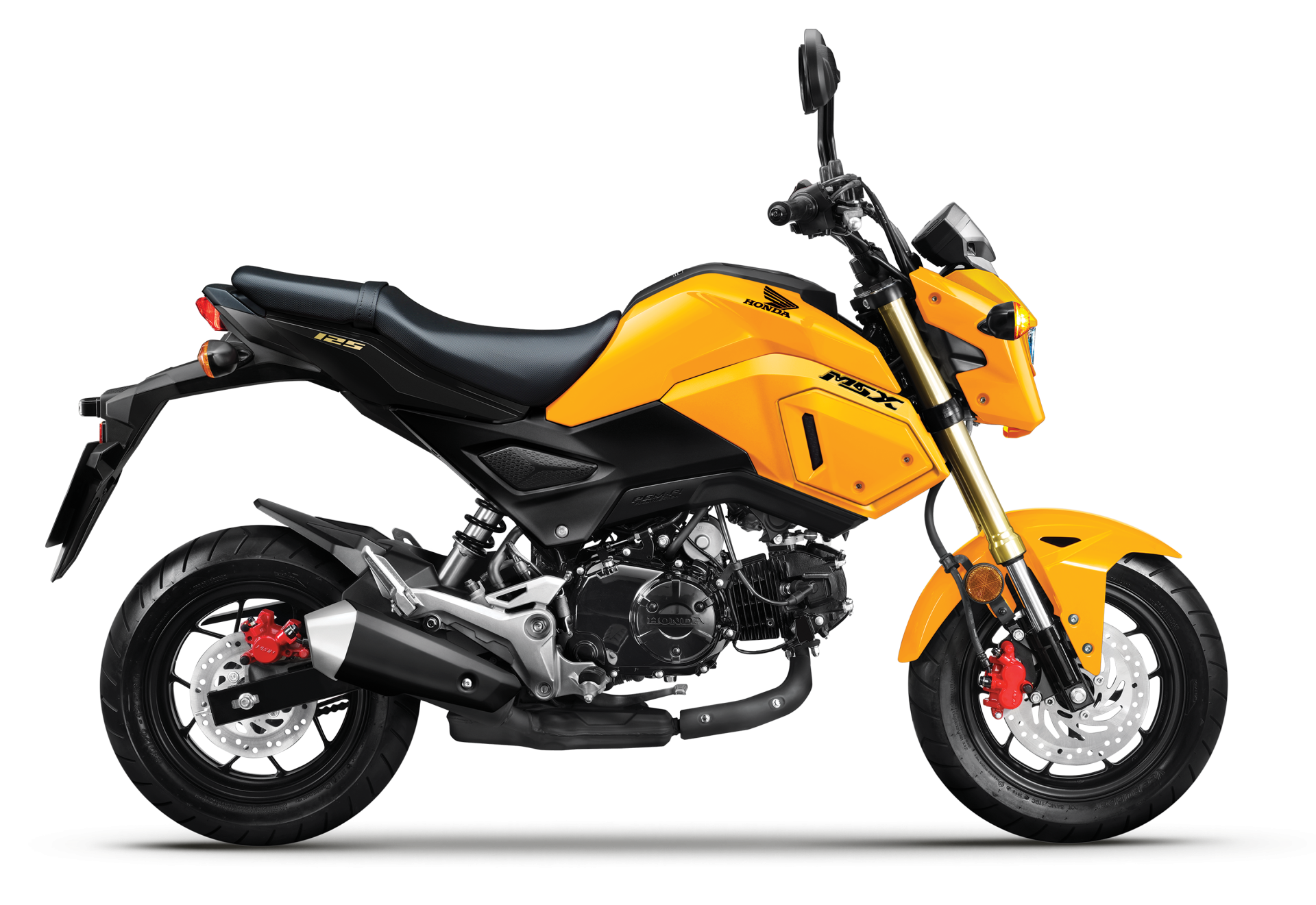 xe_honda_msx_1252028529