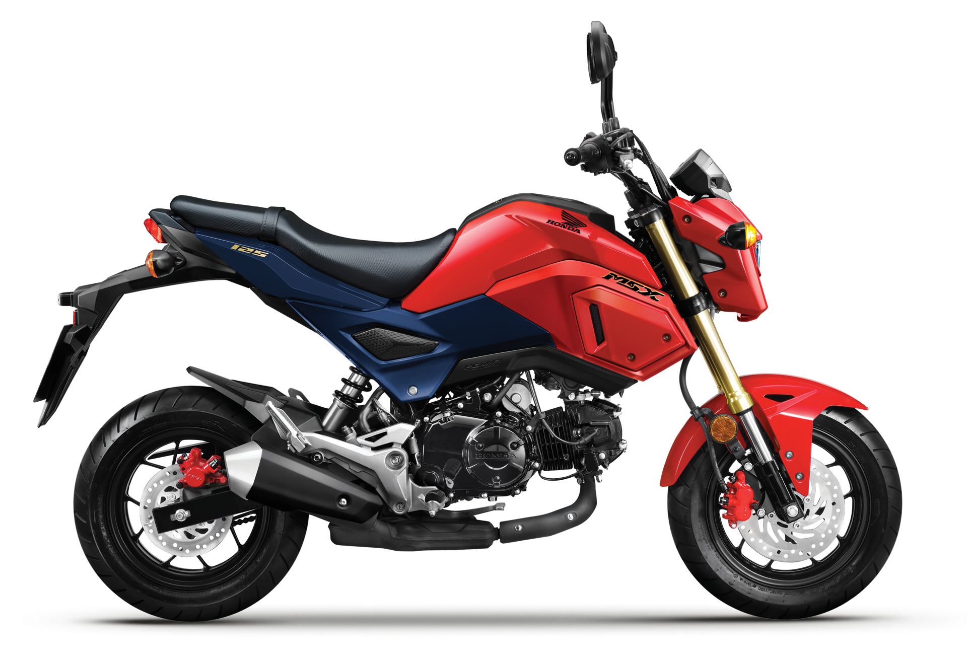 xe_honda_msx_1252028629
