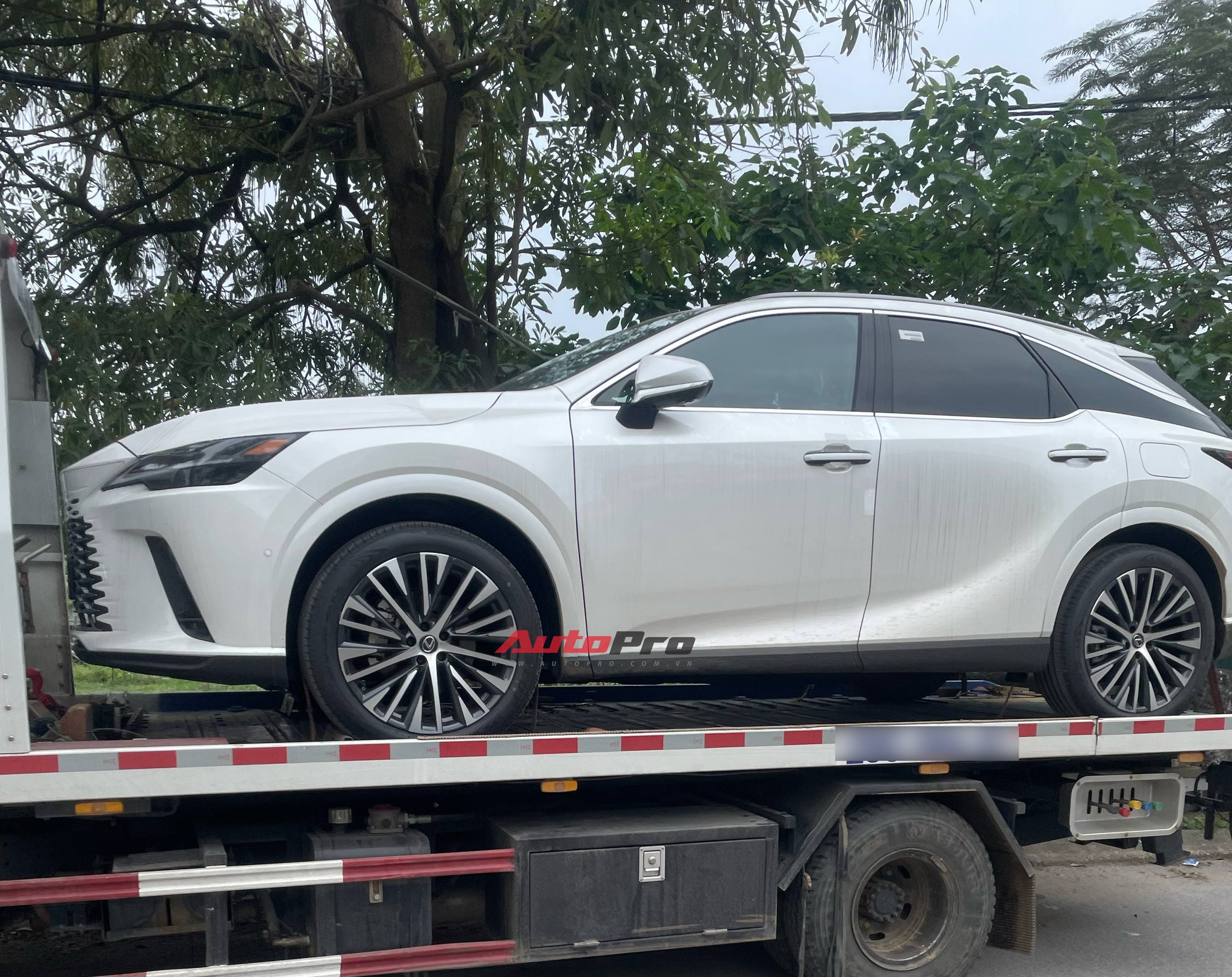 Lexus RX 350h 2025 đã về Việt Nam: Tinh ý mới thấy điểm khác bản xăng, dễ thêm công nghệ, máy tiết kiệm xăng cạnh tranh X5, Q7- Ảnh 4. Lexus RX 350h 2025 đã về Việt Nam: Tinh ý mới thấy điểm khác bản xăng, dễ thêm công nghệ, máy tiết kiệm xăng cạnh tranh X5, Q7- Ảnh 4.
