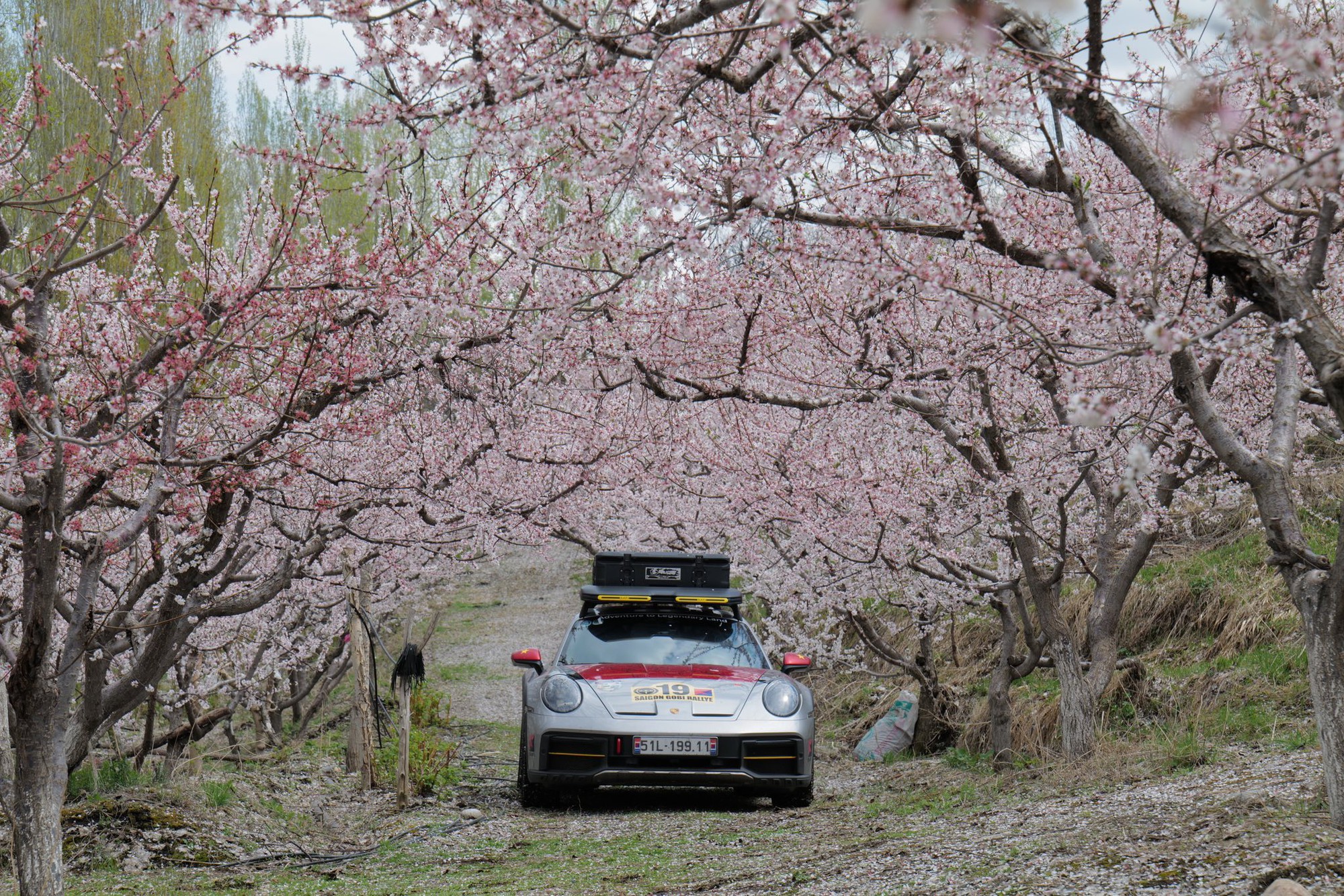 Doanh nhân Hải Phòng 'cày' Porsche 911 Dakar còn căng hơn nhiều xe dịch vụ: Odo 75.000 km trong chưa đầy 2 năm, lên rừng, xuống biển, phượt xuyên thế giới- Ảnh 11. Doanh nhân Hải Phòng 'cày' Porsche 911 Dakar còn căng hơn nhiều xe dịch vụ: Odo 75.000 km trong chưa đầy 2 năm, lên rừng, xuống biển, phượt xuyên thế giới- Ảnh 11.
