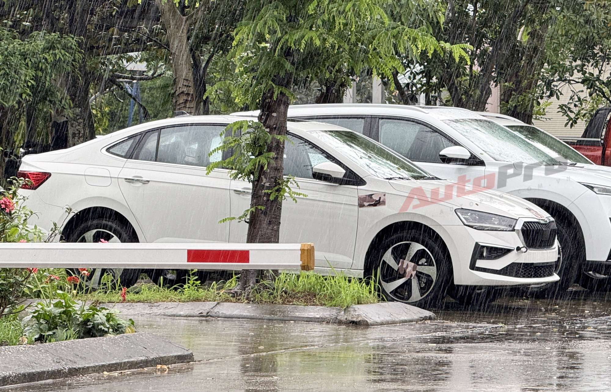 Skoda Slavia lần đầu lộ diện ngoài nhà máy tại Việt Nam: Một điểm cho thấy dễ có ADAS cạnh tranh City, Vios- Ảnh 2. Skoda Slavia lần đầu lộ diện ngoài nhà máy tại Việt Nam: Một điểm cho thấy dễ có ADAS cạnh tranh City, Vios- Ảnh 2.
