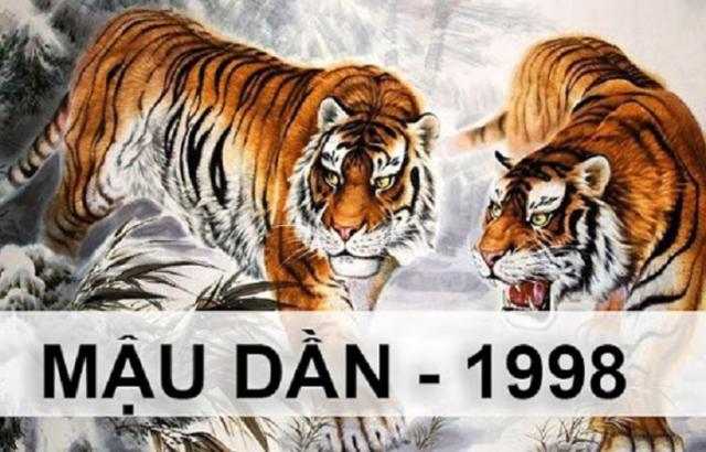 Tuổi Mậu Dần sinh năm 1998 mua xe ô tô màu gì hợp phong thủy?