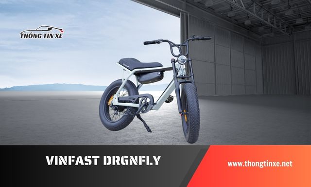 Giá xe đạp điện vinfast Drgnfly