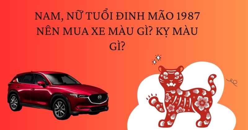 Nam nữ tuổi Đinh Mão sinh năm 1987 hợp với xe màu gì?