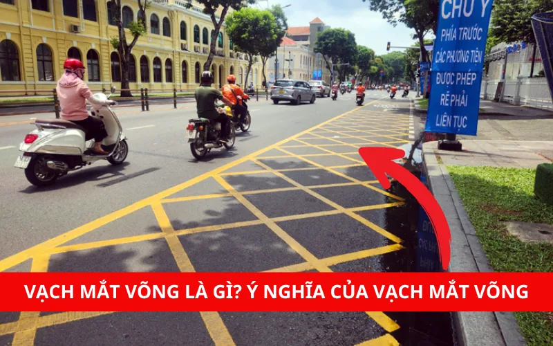 vach-mat-vong-la-gi_-y-nghia-cua-vach-mat-vong-png-1 Vạch mắt võng là gì? Ý nghĩa của vạch mắt võng