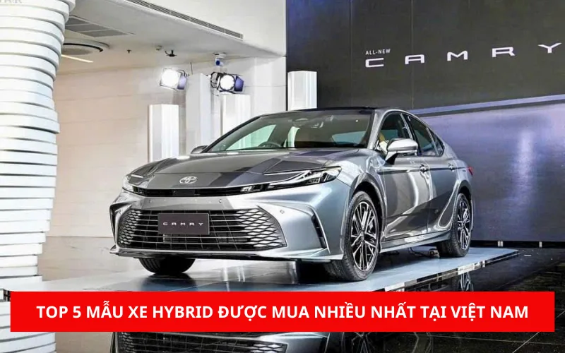 5-mau-xe-hybrid-duoc-mua-nhieu-nhat-tai-viet-nam-nam-png-1 5 mẫu xe Hybrid được mua nhiều nhất tại Việt Nam