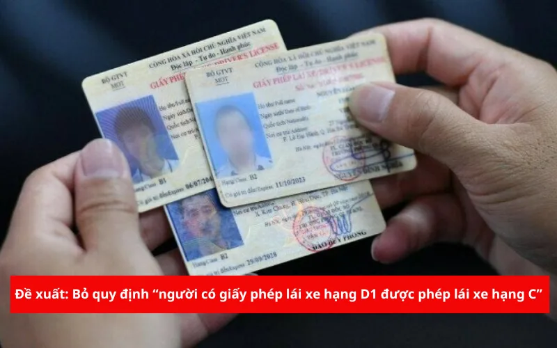 de xuat bo quy dinh nguoi co giay phep lai xe hang d1 duoc phep lai xe hang c png 1
